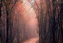 柏林赫塔连续不胜,主帅面临下课危机