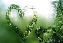 意大利中场转会纪录被打破,转投亚洲俱乐部